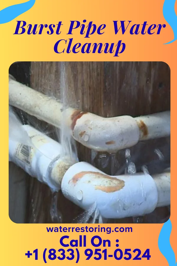 Burst Pipe Water Cleanup in Louisville, KS