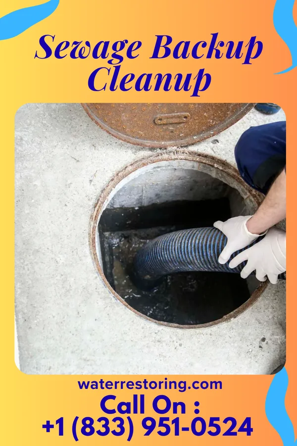 Sewage Backup Cleanup in Louisville, KS