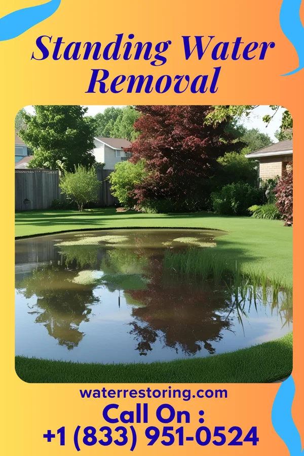 Standing Water Removal in Louisville, KS
